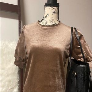 Puff velvet sleeve top